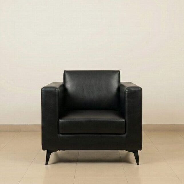 Classical Leatherite Sofa